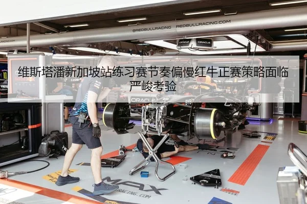 维斯塔潘新加坡站练习赛节奏偏慢红牛正赛策略面临严峻考验